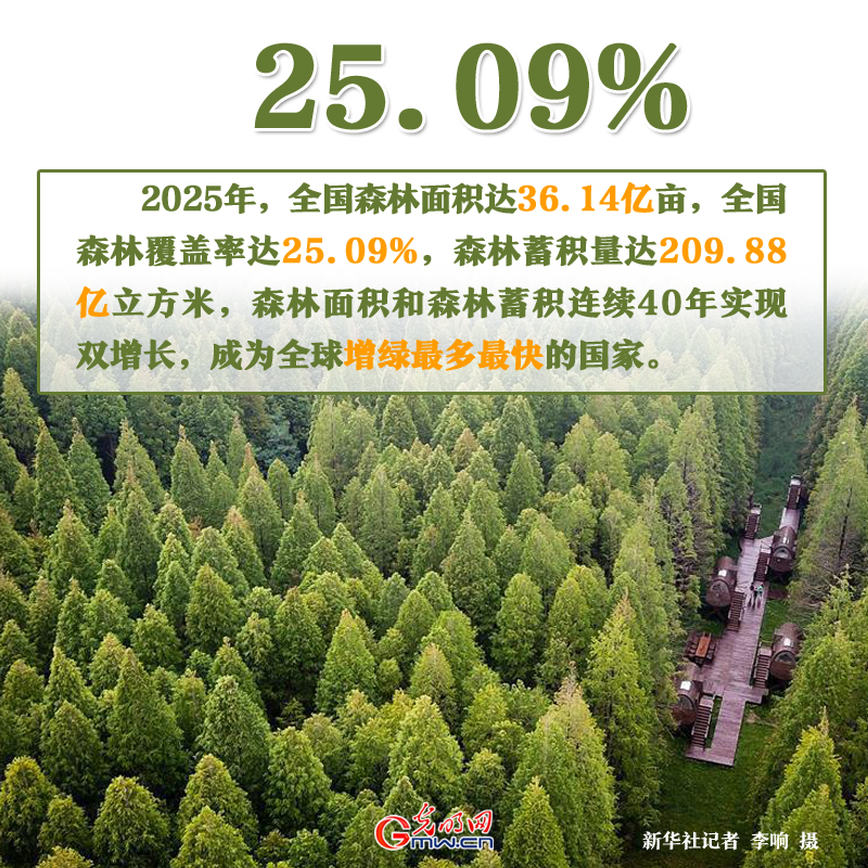 世界环境日丨美丽中国建设蹄疾步稳 一组数据见证“绿色”力量