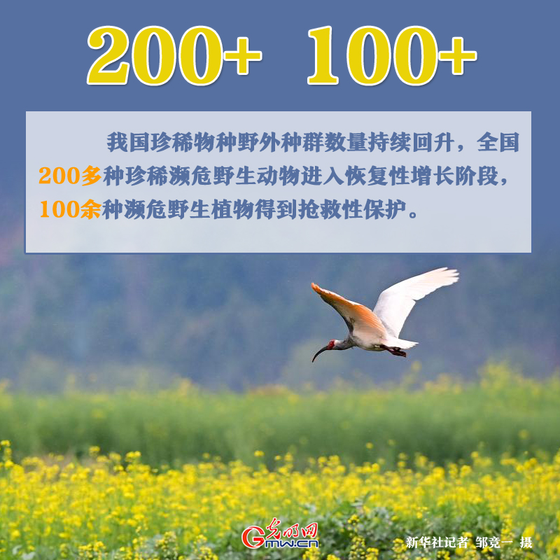 世界环境日丨美丽中国建设蹄疾步稳 一组数据见证“绿色”力量