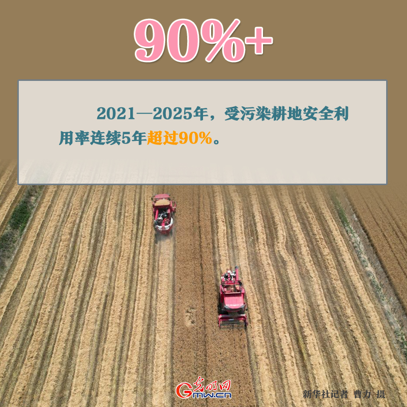 世界环境日丨美丽中国建设蹄疾步稳 一组数据见证“绿色”力量