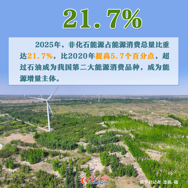 世界环境日丨美丽中国建设蹄疾步稳 一组数据见证“绿色”力量