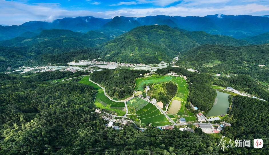 美丽中国行｜来草池湾村，和朱鹮做邻居！