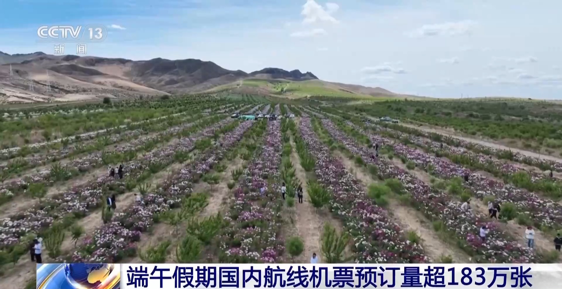 端午假期国内机票预订量超180万张 民俗游持续升温