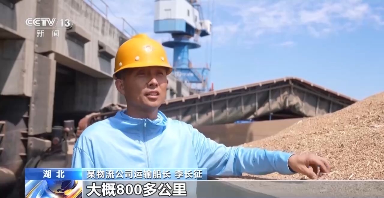 视频丨全国小麦收获进度已过七成 夏播粮食进度过四成