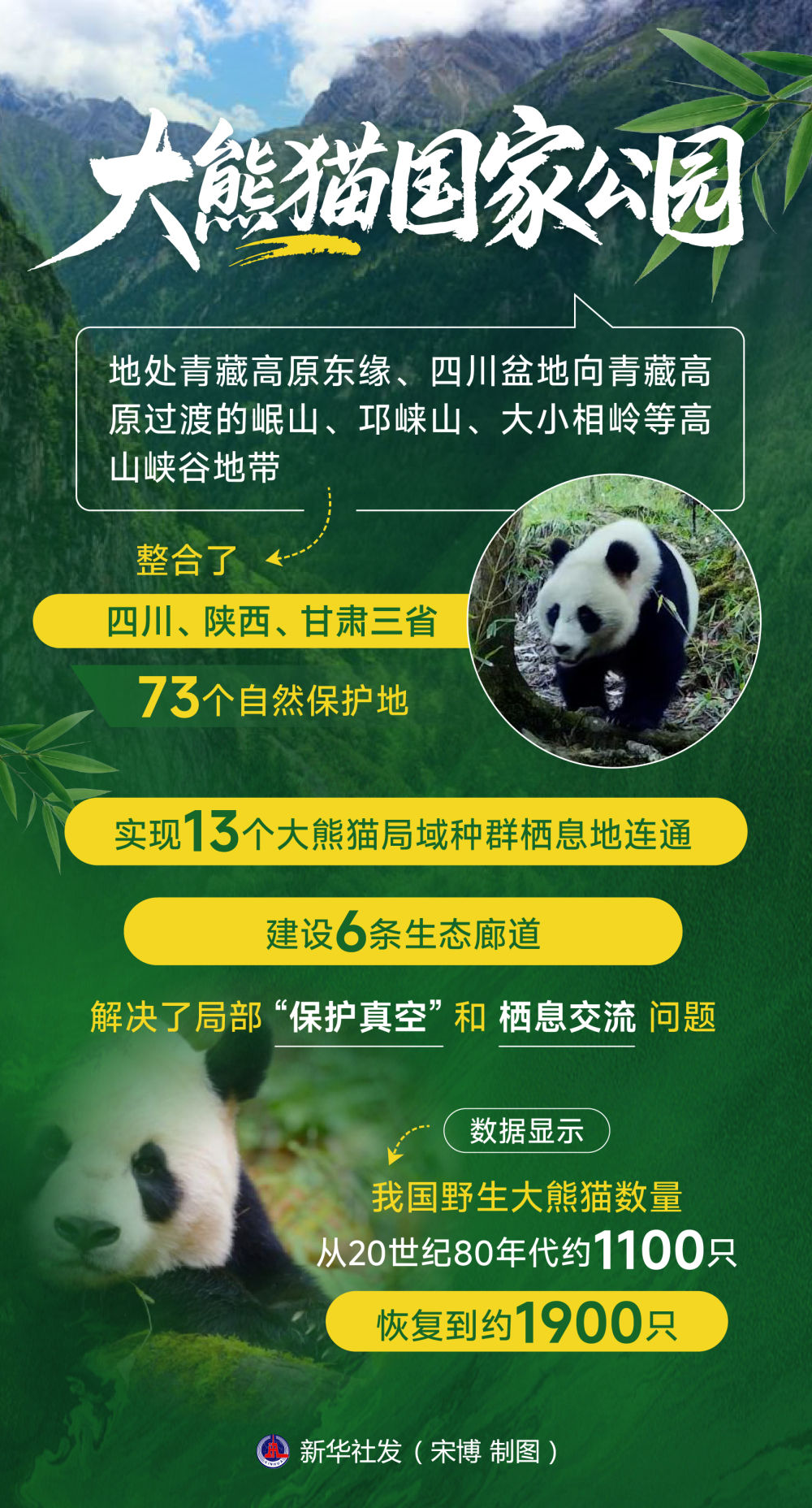 大熊猫国家公园的绿色答卷