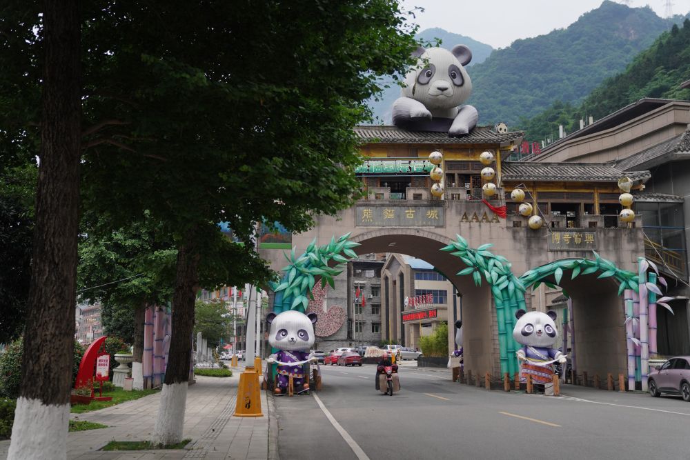 大熊猫国家公园的绿色答卷