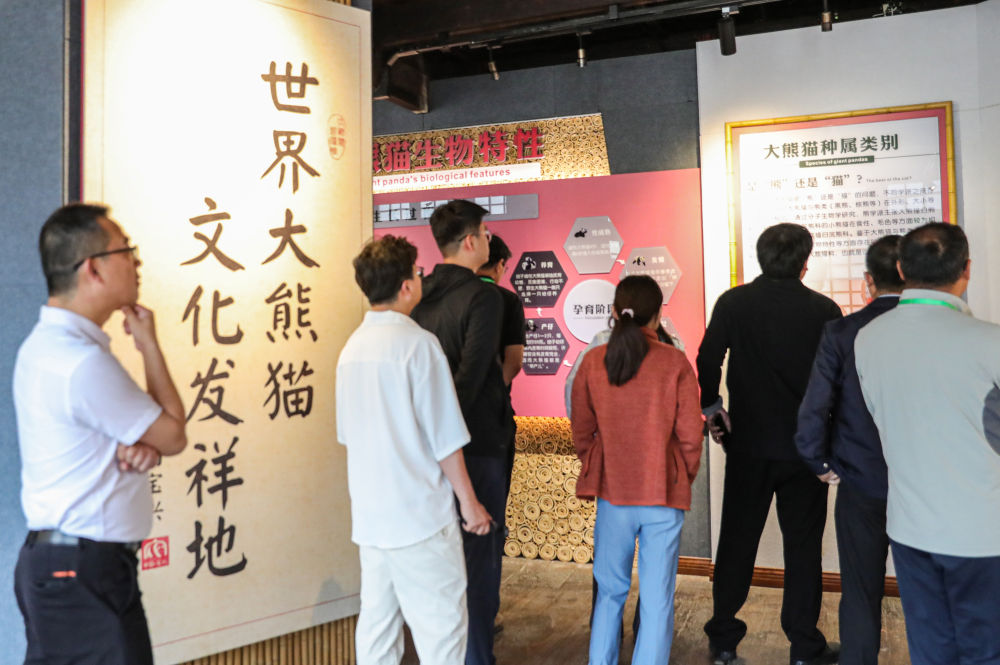 大熊猫国家公园的绿色答卷