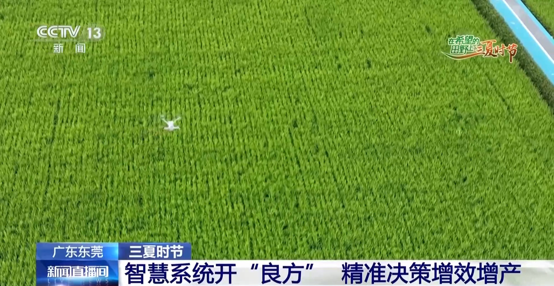 北斗导航播种、无人机巡田 农田新质生产力跑出三夏“加速度”
