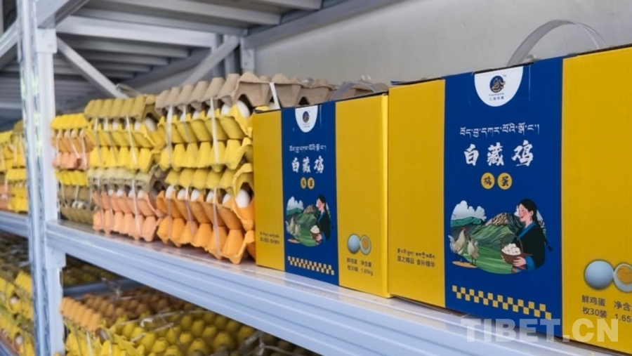 拉萨德阳村:一枚鸡蛋背后的乡村振兴路