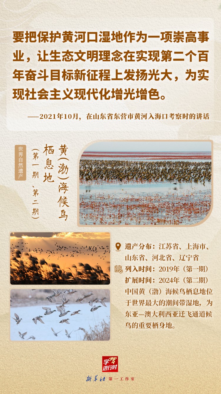 学习进行时|跟着总书记“打卡”世界遗产