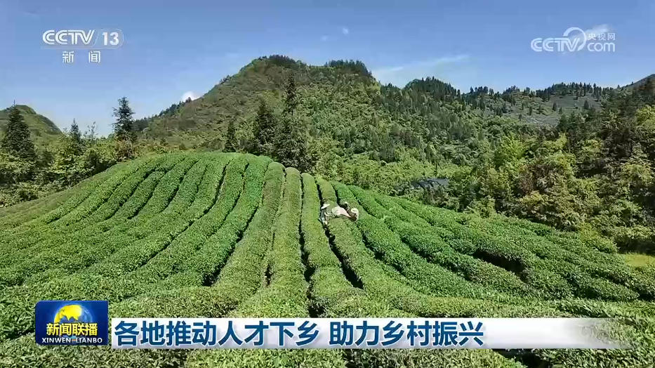 各地推动人才下乡 助力乡村振兴