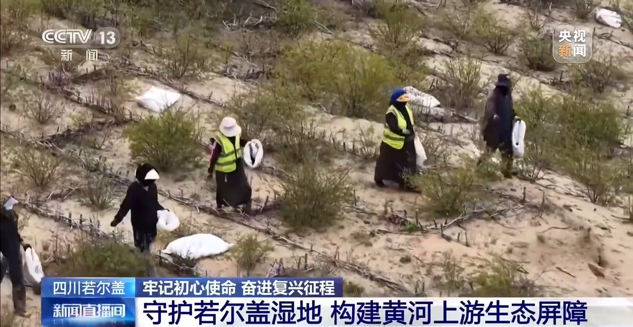 牢记初心使命 奋进复兴征程丨铭记长征精神 看若尔盖的红色传承与绿色新生