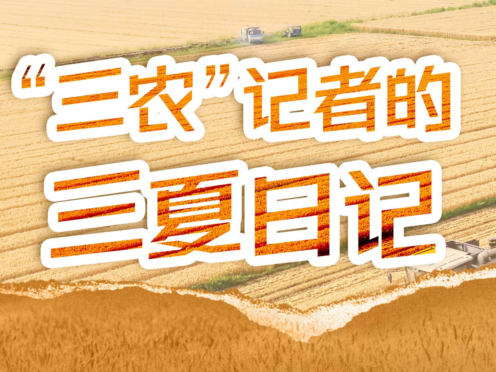 这片稻田不普通 藏着增收密码