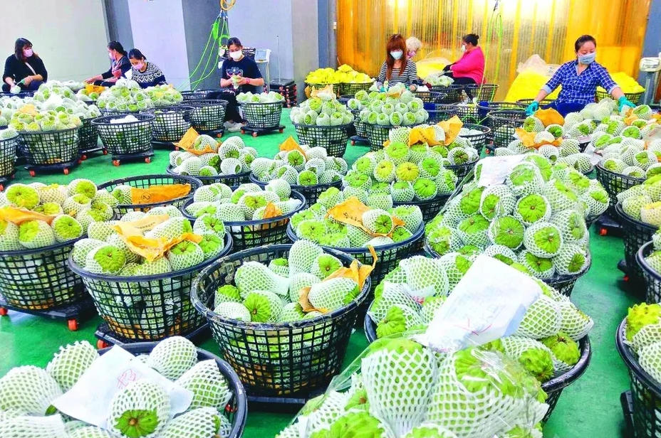 岛内热议十项涉台新政落地:基层农渔民的福音,民进党设障天理不容 岛内热议十项涉台新政落地:基层农渔民的福音,民进党设障天理不容
