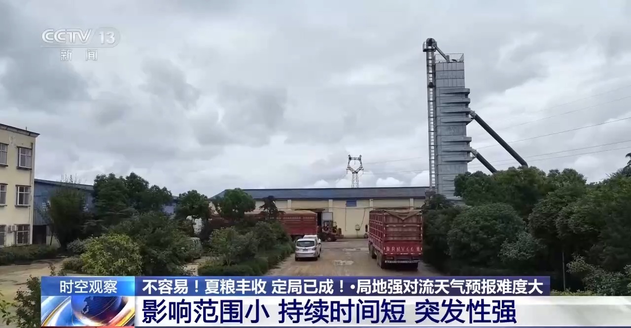 全国夏粮收获过九成 这场丰收保卫战是如何打赢的?