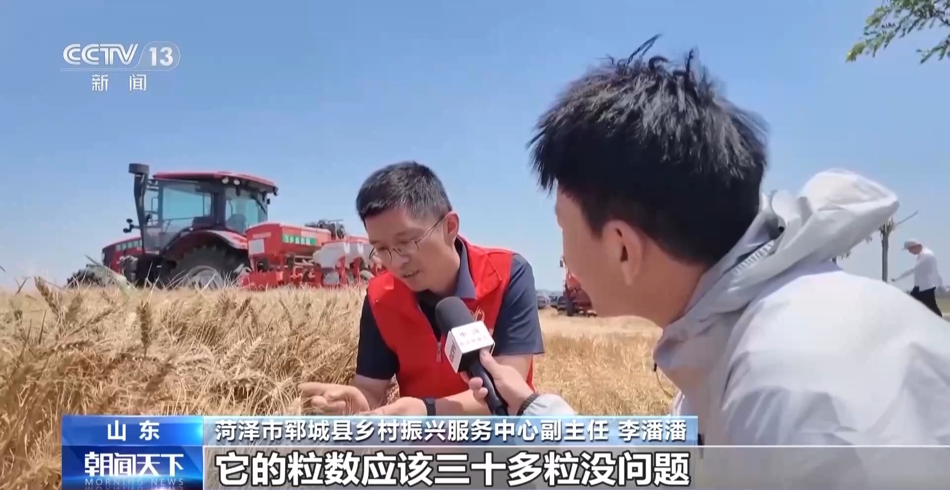 全国夏粮抢收已超九成 晚播麦是这样“逆袭”的