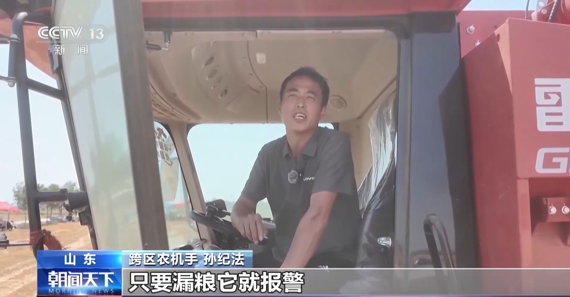 全国夏粮抢收已超九成 晚播麦是这样“逆袭”的