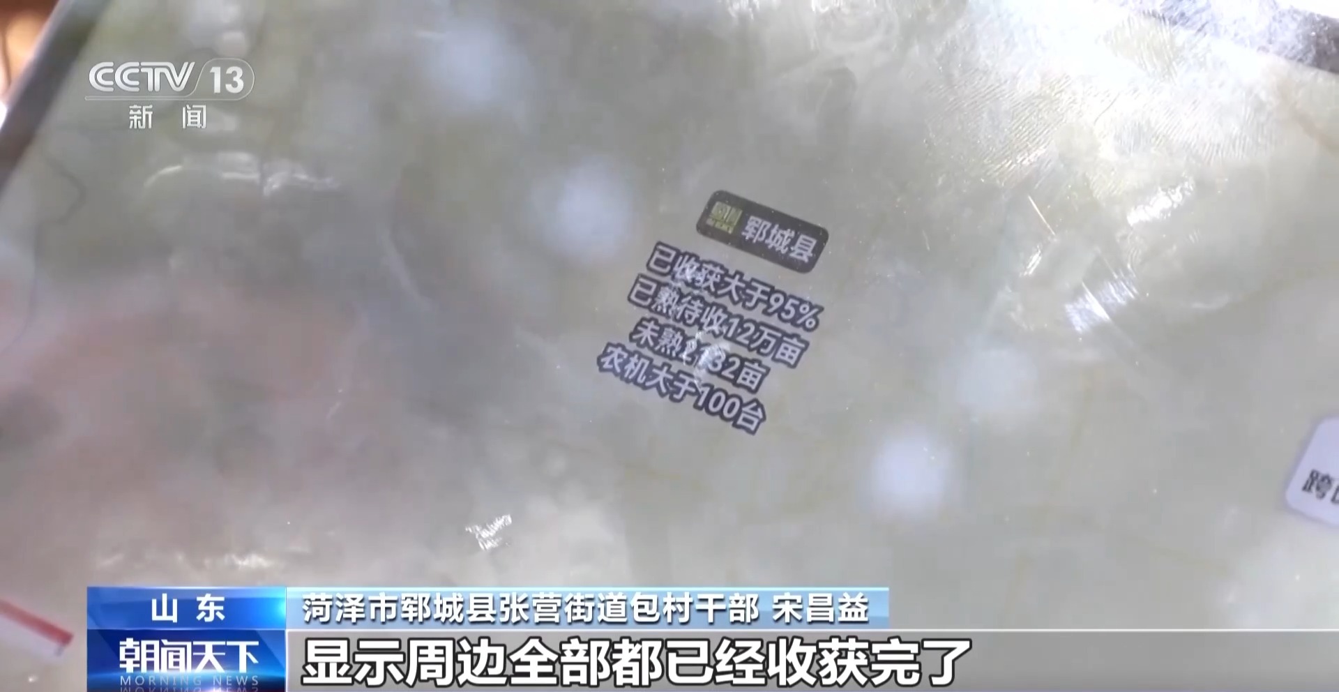 全国夏粮抢收已超九成 晚播麦是这样“逆袭”的