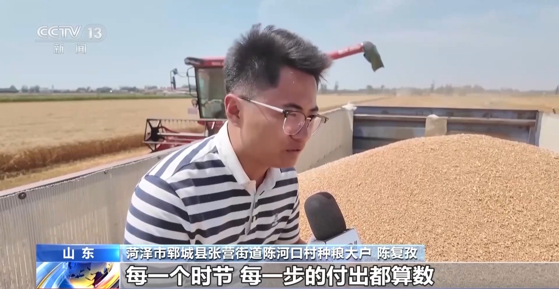 全国夏粮抢收已超九成 晚播麦是这样“逆袭”的