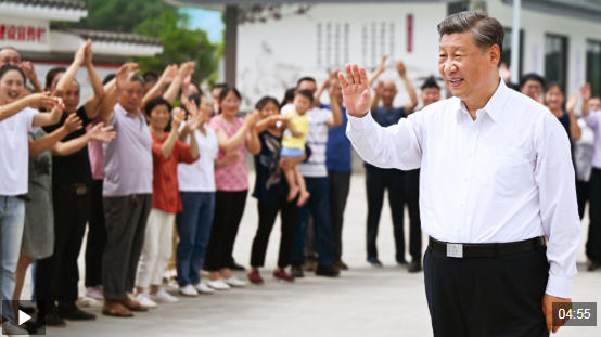 时政微视频丨拳拳赤子心 时政微视频丨拳拳赤子心