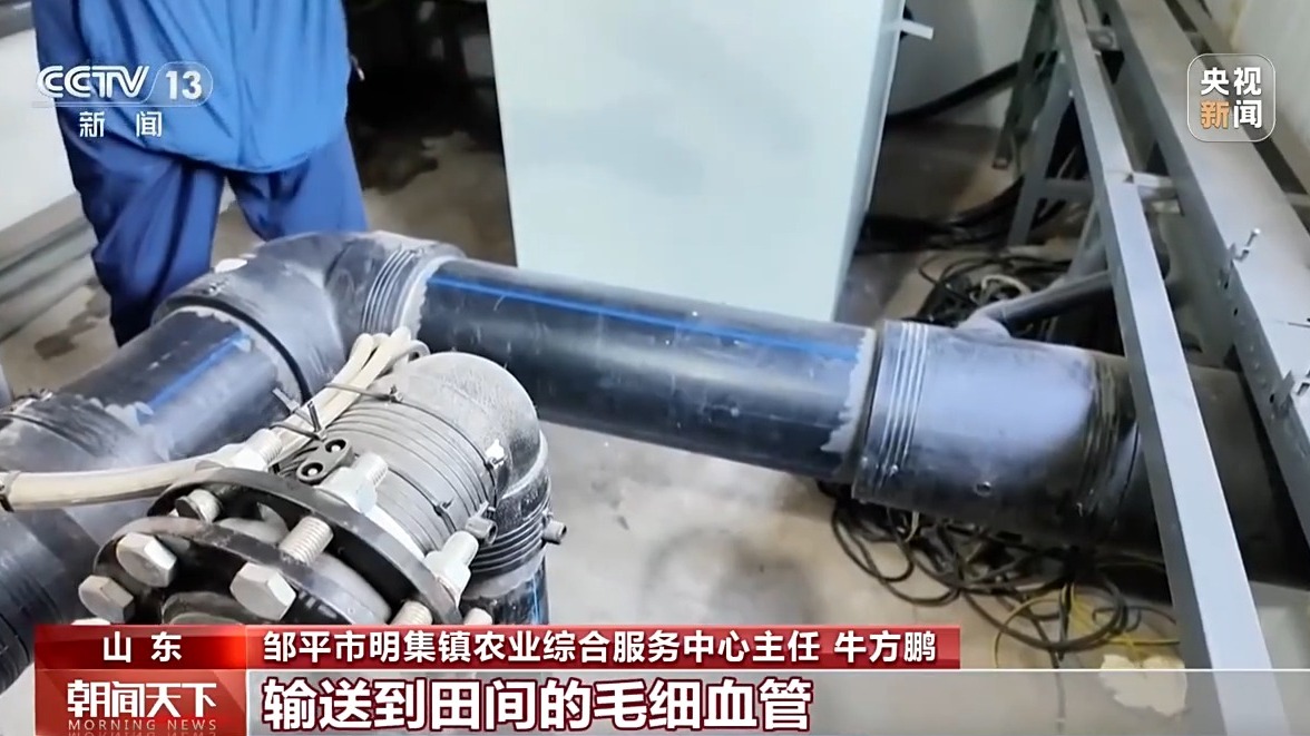 科技赋能 全国夏播粮食进度近七成