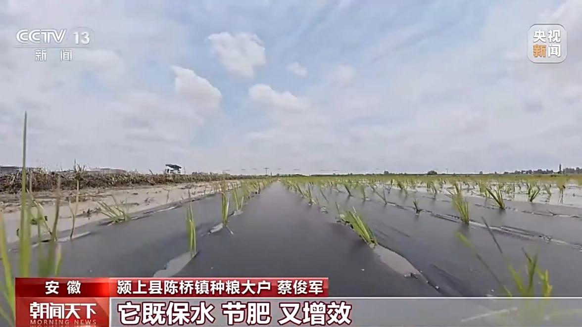科技赋能 全国夏播粮食进度近七成