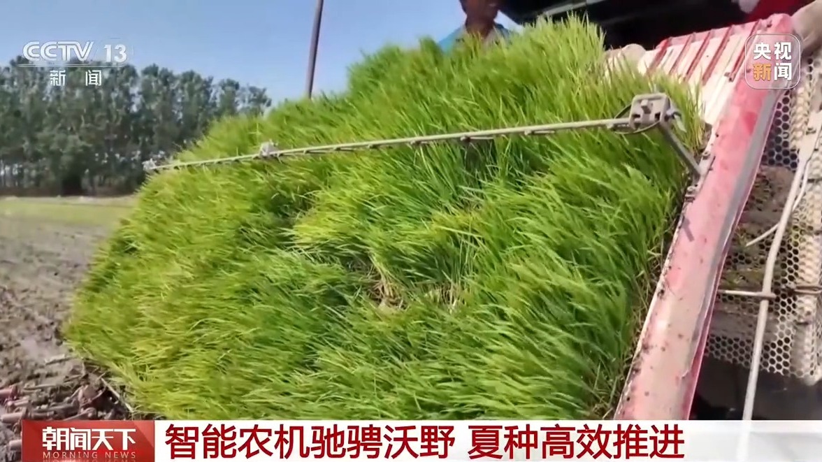 科技赋能 全国夏播粮食进度近七成
