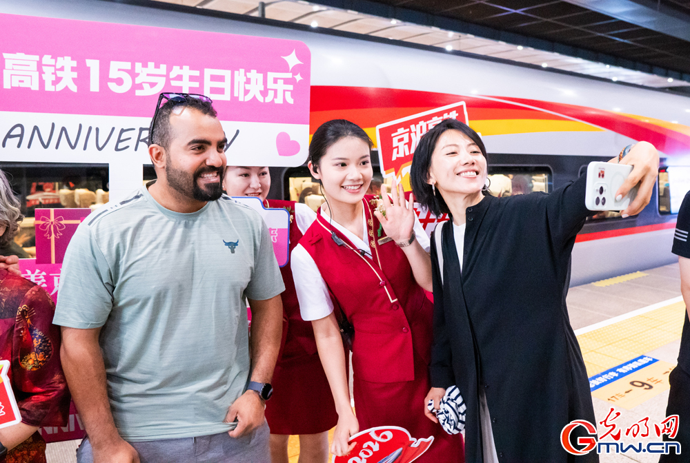 京沪高铁十五周年：十五载飞驰筑通途 千里京沪线铺就区域协同发展路