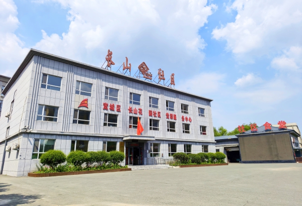 “七一勋章”获得者吴亚琴,中国基层之治的答卷人
