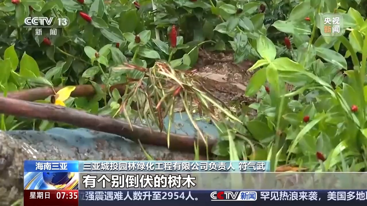 全国多地受台风“美莎克”影响 今明这些地区多阵雨提醒注意→