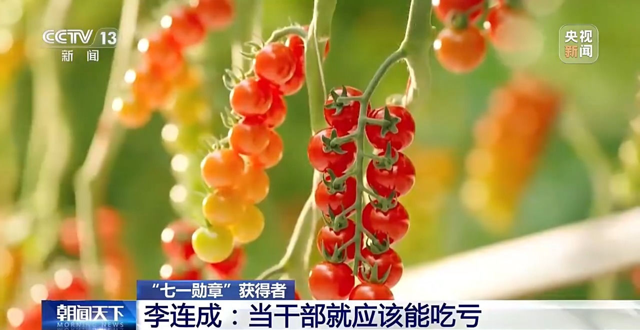 视频丨“七一勋章”获得者李连成三十多载耕耘 铺就乡村共富路