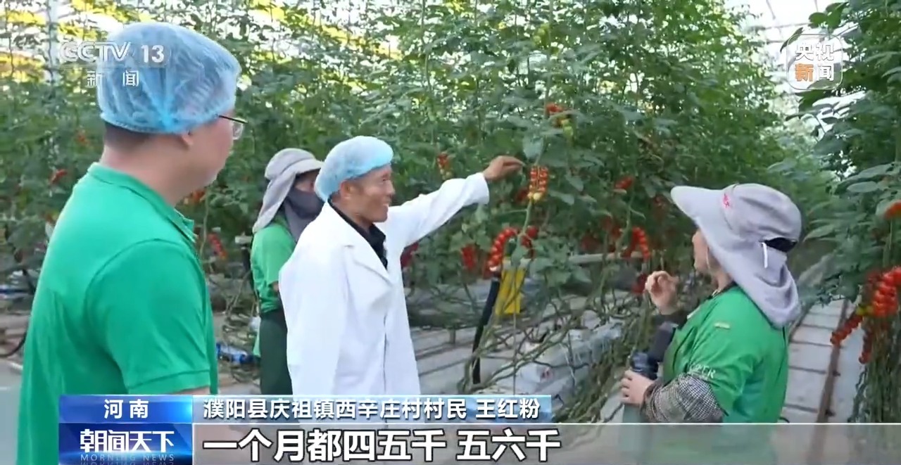 视频丨“七一勋章”获得者李连成三十多载耕耘 铺就乡村共富路
