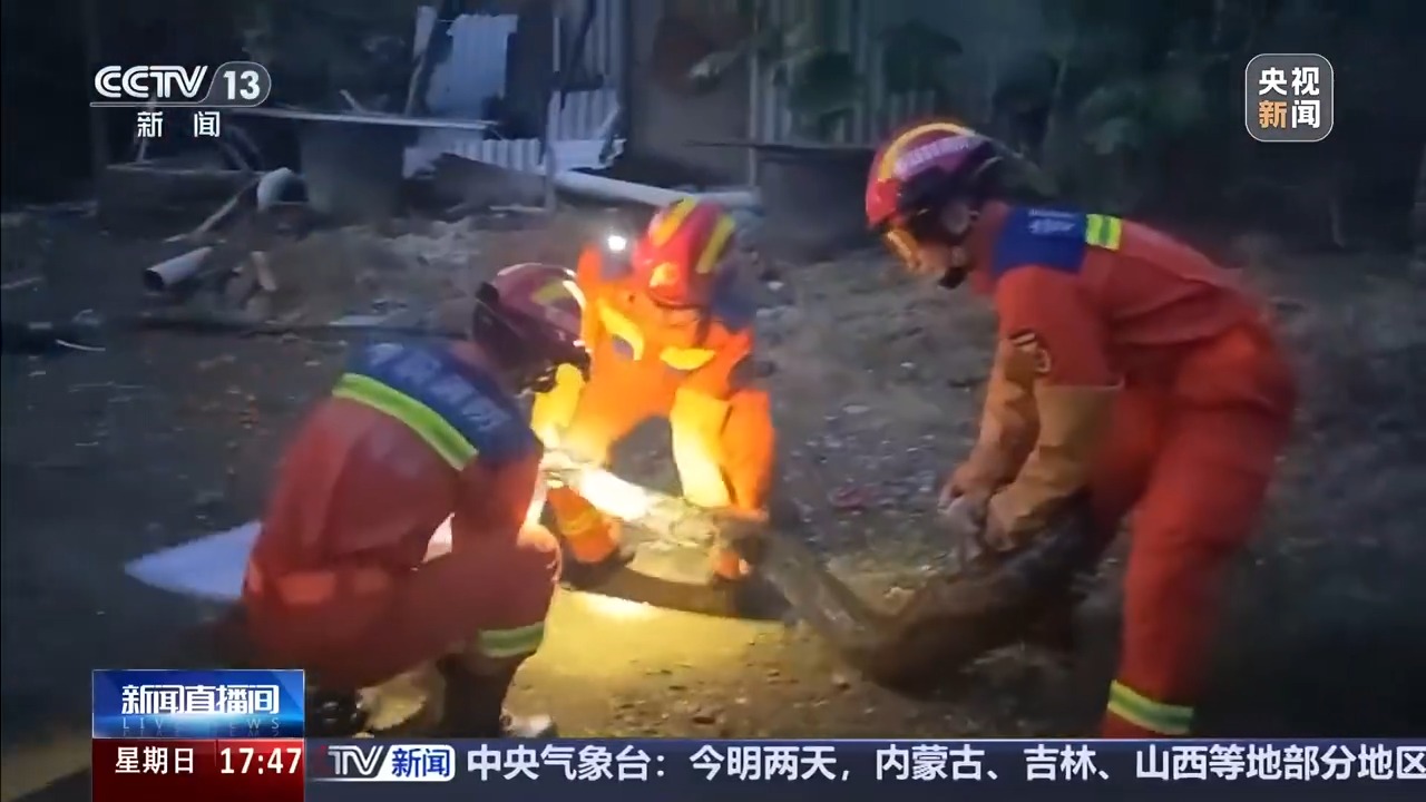夏季蛇类活跃,遇到该怎么办?如果被咬伤要如何处理?