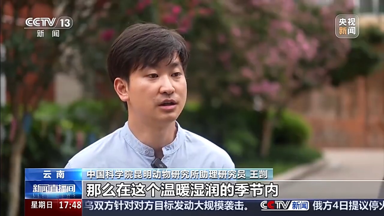 夏季蛇类活跃,遇到该怎么办?如果被咬伤要如何处理?