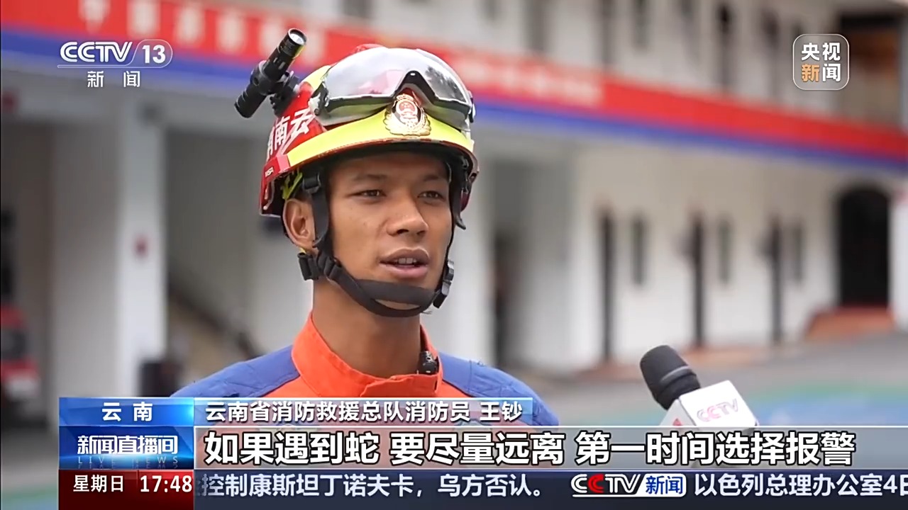 夏季蛇类活跃,遇到该怎么办?如果被咬伤要如何处理?