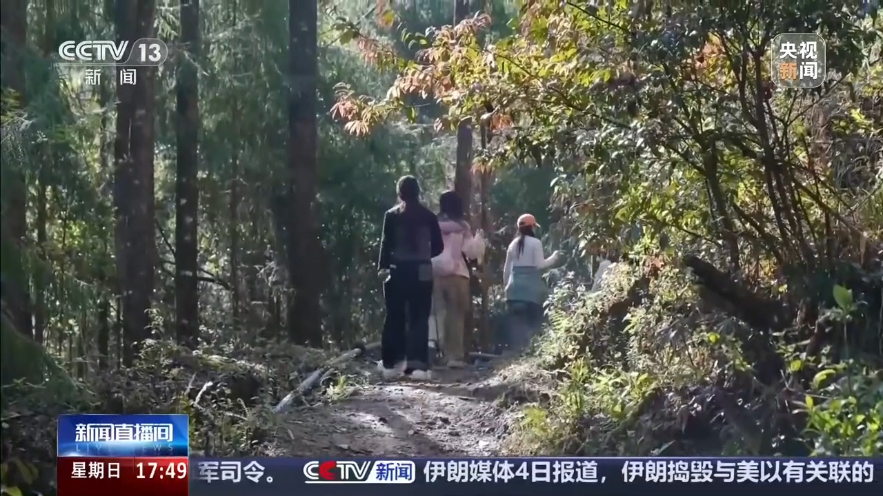 夏季蛇类活跃,遇到该怎么办?如果被咬伤要如何处理?