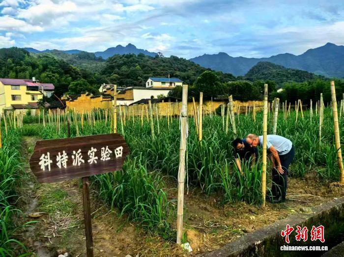 在骑行中认识中国:“洋特派员”赞叹中国的“甜蜜奇迹”丨世界观