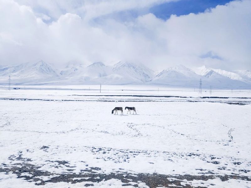 神奇天路如何改变雪域高原?
