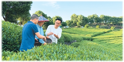 实干争先显担当——浙江各地以正确政绩观引领高质量发展