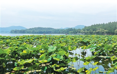 实干争先显担当——浙江各地以正确政绩观引领高质量发展