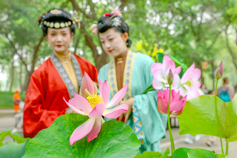 一池荷花盘活夏日经济!北京13处公园打造新消费场景 一池荷花盘活夏日经济!北京13处公园打造新消费场景