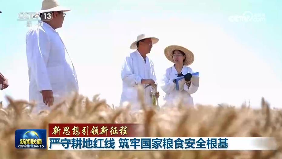 【新思想引领新征程】严守耕地红线 筑牢国家粮食安全根基