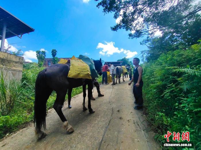 广西横州“孤岛”突围记：“路断了，我们就用双脚挺进”
