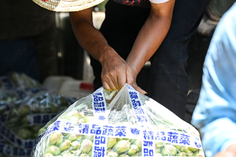 手”记——这就是众志成城的力量 手”记——这就是众志成城的力量