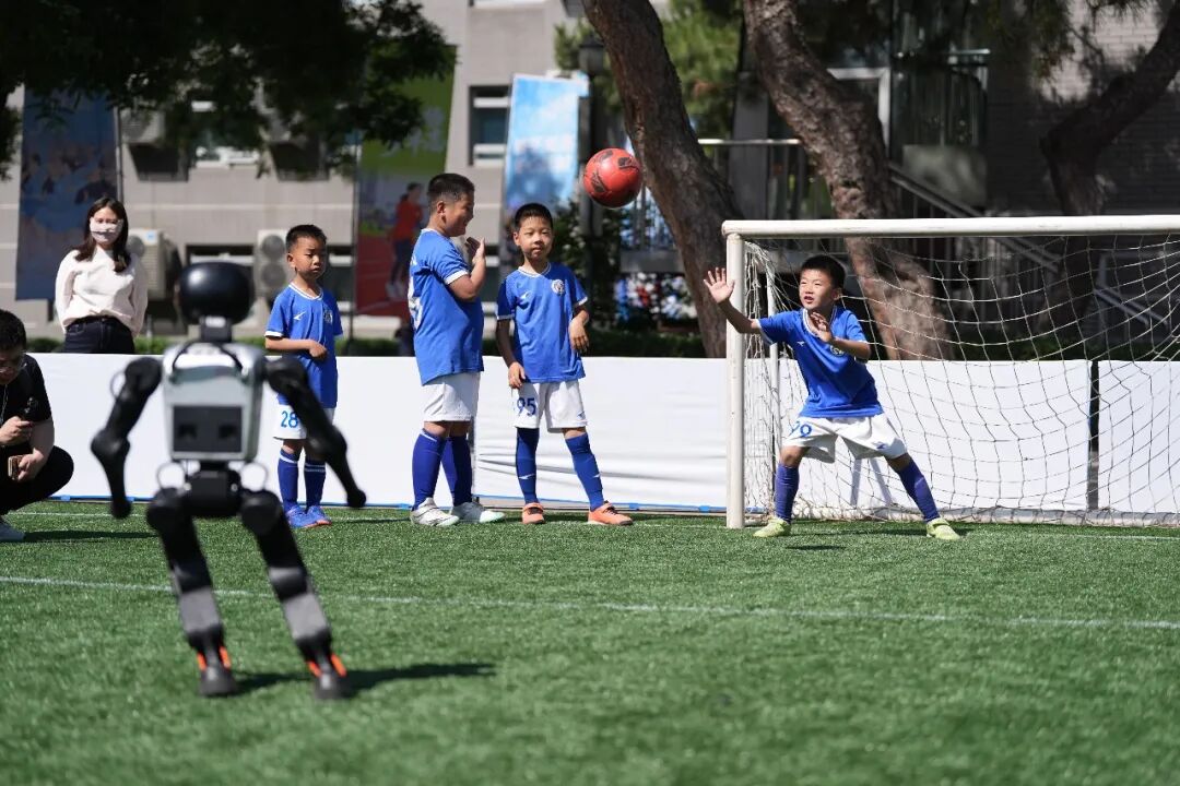 以“本土经验”应对世界级难题