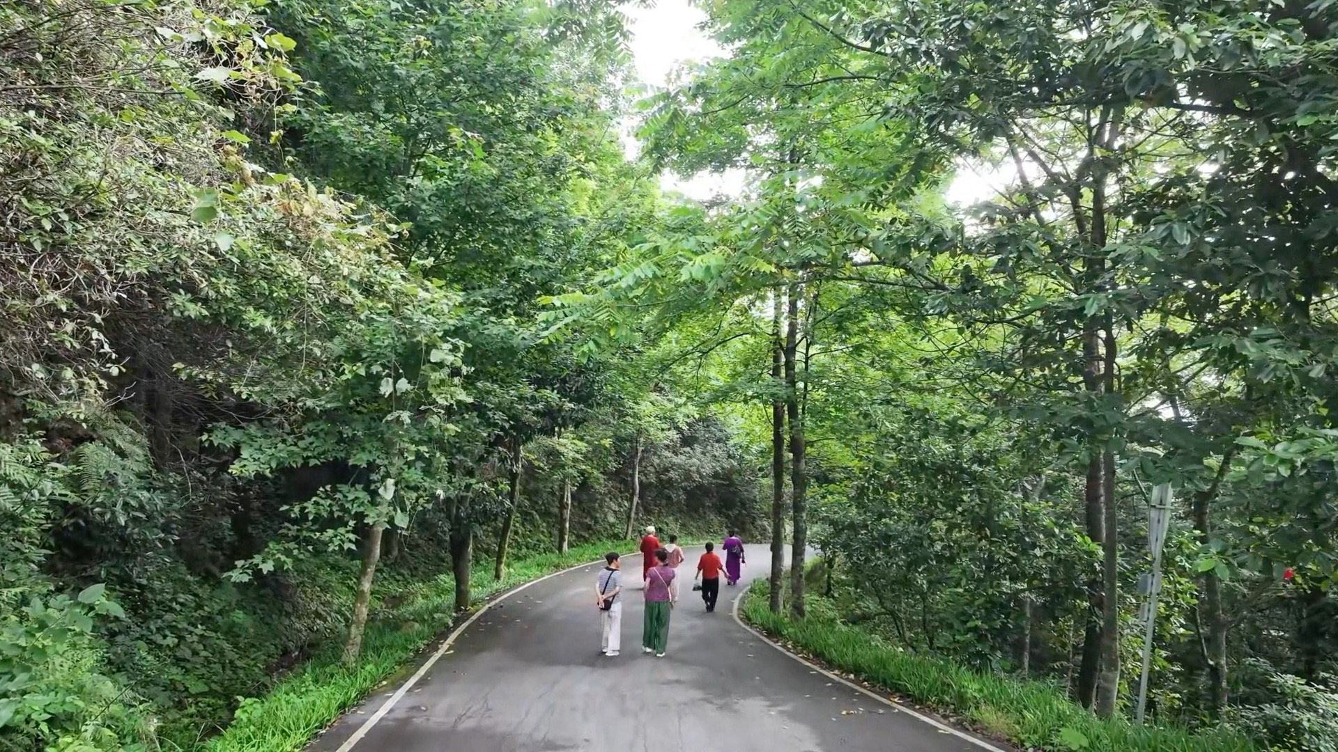 “暑期消费”场景上新 夏日经济活力持续释放