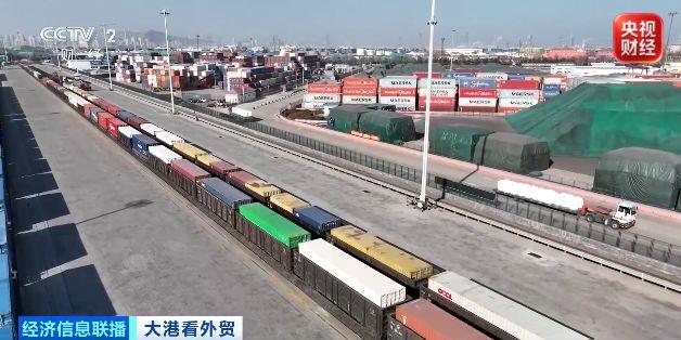 视频丨20分钟直达码头、零关税加持!中国东盟贸易更火了