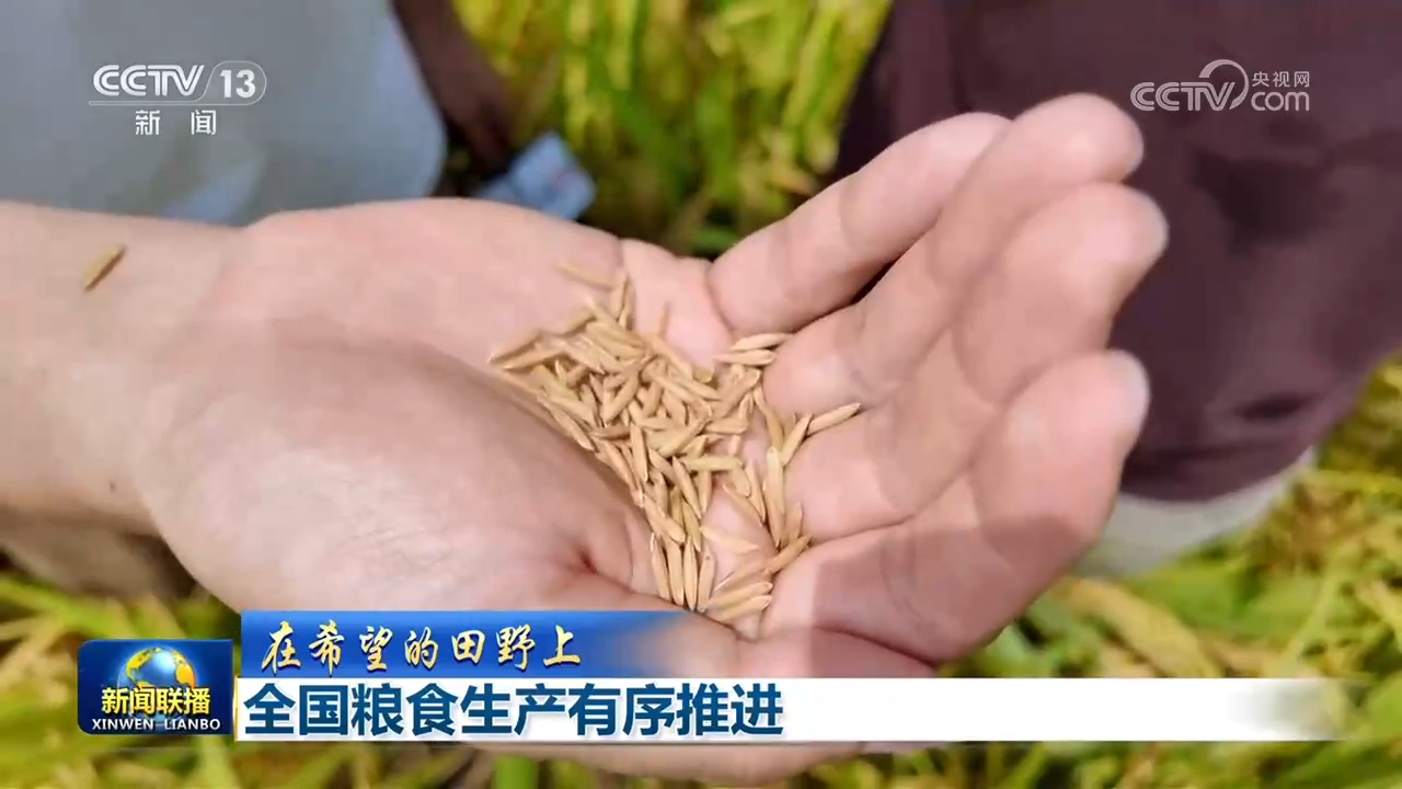 【在希望的田野上】全国粮食生产有序推进