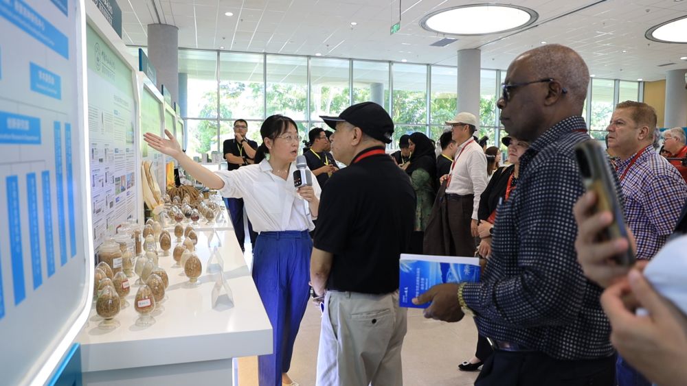 跨越千年 一粒种子绘就中外农业合作的民生底色 跨越千年 一粒种子绘就中外农业合作的民生底色