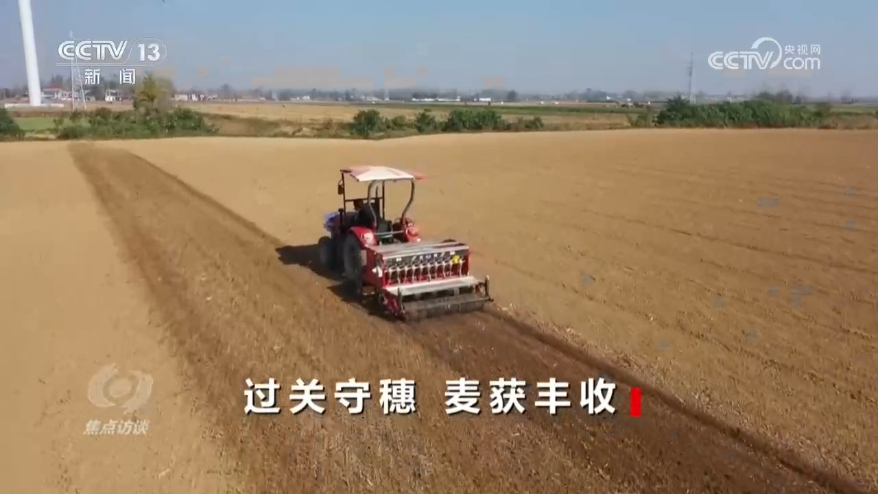 焦点访谈|播种晚、病害多、雨季早……这季夏粮丰收是怎么“拼”出来的?