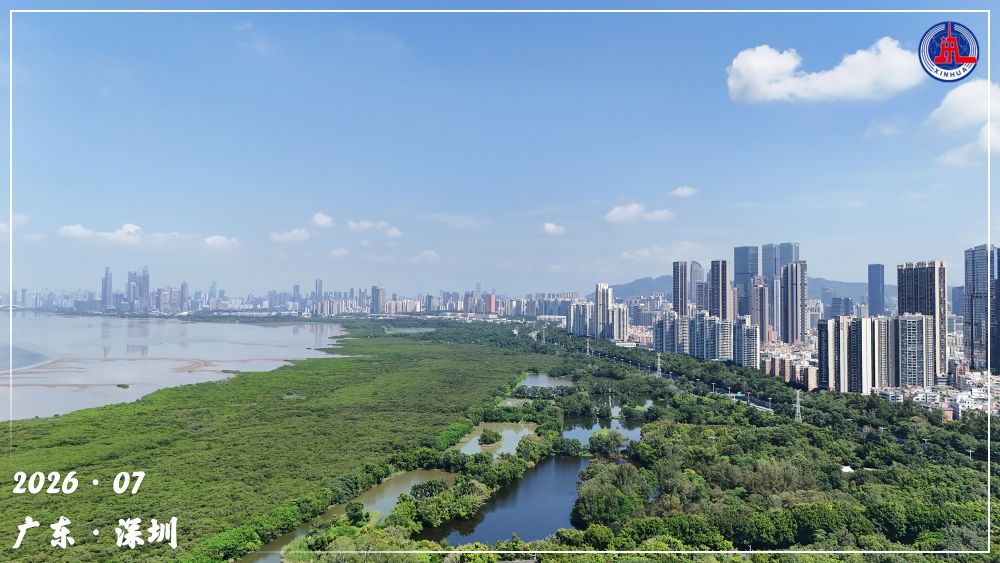 镜观·回响丨守护红树林 中国在行动